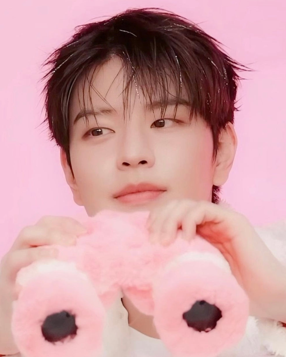Seungmin Blanket