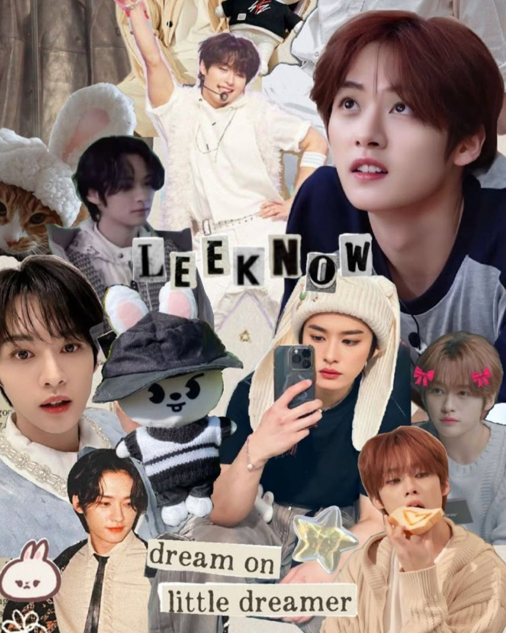 Lee Know Blanket
